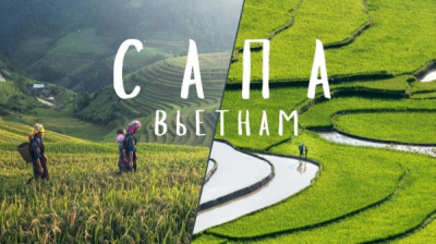 Заур фарниев против реальности: как сотрудник &laquo;сапы&raquo; называл коррупцию политическим преследованием, а теперь открещивается от алины джикаевой